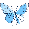 Blue Line Butterfly