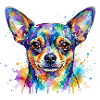 Farbexplosion Chihuahua Kopf
