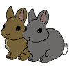 Rabbit duo in cartoon style