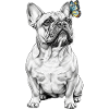 French Bulldog Butterfly Sketch