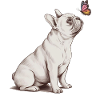 Frenchie Dog Drawing with Butterfly