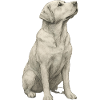 Labrador Geschenk für Hundebesitzer & Fans