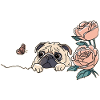 Mops mit Schmetterling