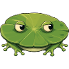 Little frog on leaf