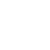 Niederlande - Nederland - Netherlands - Lion Löwe