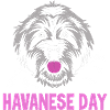 Chien bichon havanais
