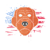Chien Griffon
