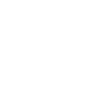 Plauen