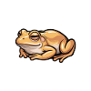Frog Sayings Frogs Funny Frog Gift
