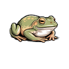 Frog Sayings Frogs Funny Frog Gift