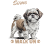 Shih Tzu Dog Breed