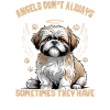 Shih Tzu Dog Breed