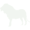 Lion Silhouette Moonlight