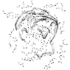 Face Abstract | Star blobs