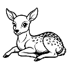 Bébé Cerf