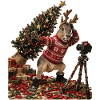 Christmas photo completely off target