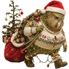 Kakapo carries Christmas alone