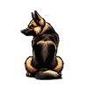 German Shepherd Shepherd Dogs Shepherd Dogs