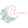 Eliana Floral Script