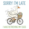 Delayed egg delivery on bicycle