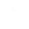 Skull with Horns Ram Skull