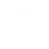 Skull with Horns Ram Skull
