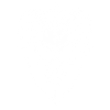 Skull with Horns Ram Skull