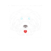 Lhasa Apso