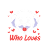 Bichon frisé