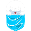 Bichon Frise Dog