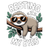 Resting My Eyes Sleeping Sloth