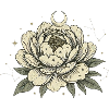 Celestial Botanical Peony Flower Crescent 