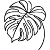Monstera