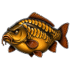 Mirror Carp Fishing T-Shirt