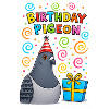 Birthday Pigeon Party