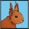 Squirrel Illustration Blue
