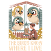 The birds know my home