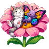 Chats et Fleurs de papillon