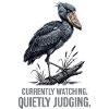Schuhschnabelstorch Wächter Illustration
