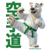 Karate Eisbär