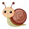 Escargot bébé