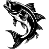 Barramundi Fish Jumping