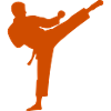 Karate Kick Silhouette