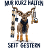 Lustiges Winter Kudu