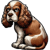 Cocker Spaniel Cockerhund Cocker Spaniel Besitzer