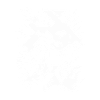 Mountain Bike Graphics