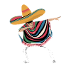 Mexican Sombrero Poncho Dance
