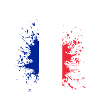 French Flags Splatter