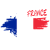 French Flag Brush