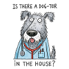 Is therre a dog-tor?